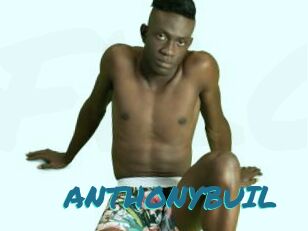 ANTHONYBUIL
