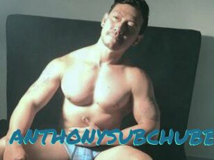 ANTHONYSUBCHUBBY