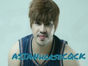 ASIANhorseCQCK