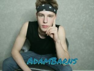 AdamBarns