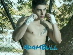 AdamBull
