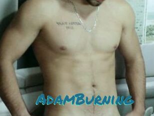 AdamBurning
