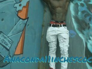 Anaconda11inchescock