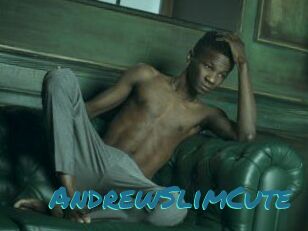 AndrewSlimCute