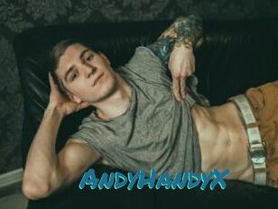 AndyHandyX