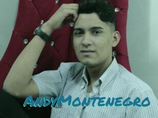AndyMontenegro