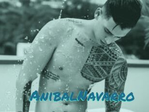 AnibalNavarro