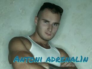 Antoni_adrenal1n
