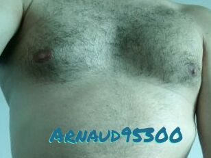 Arnaud95300