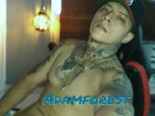 Adamforest