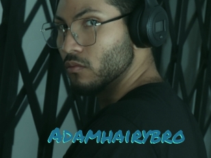 Adamhairybro