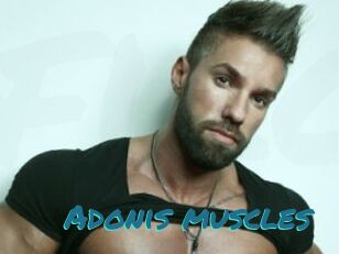 Adonis_muscles