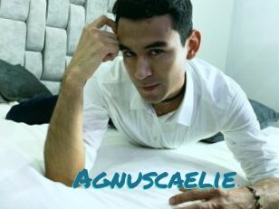 Agnuscaelie