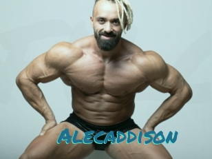 Alecaddison