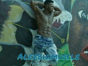 Alexbigmuscle