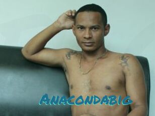 Anacondabig