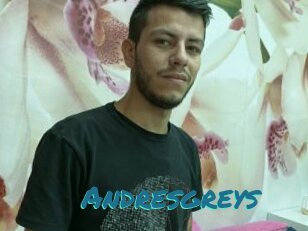 Andresgreys