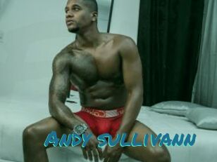 Andy_sullivann
