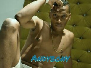 Andybony