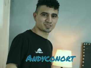 Andyconort