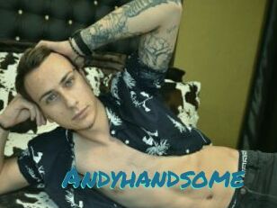Andyhandsome