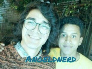 Angeldnerd