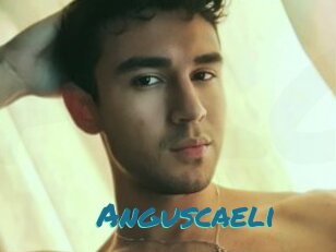 Anguscaeli
