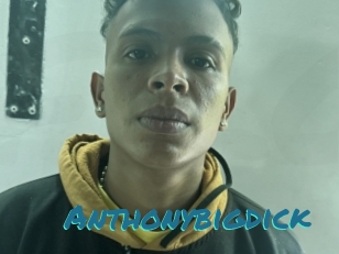 Anthonybigdick