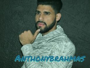 Anthonybrahmas