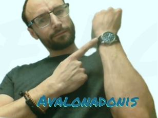 Avalonadonis