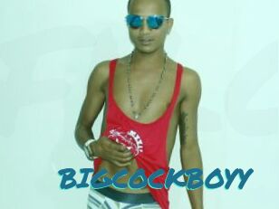BIGCOCKBOYY