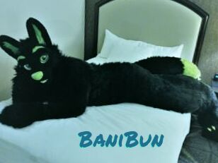BaniBun