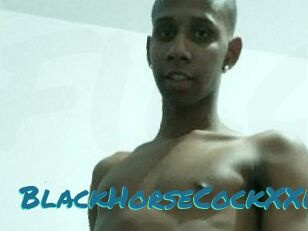 BlackHorseCockXXL