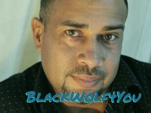 BlackWolf4You