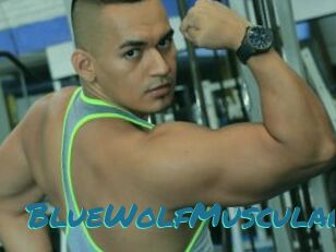 BlueWolfMuscular