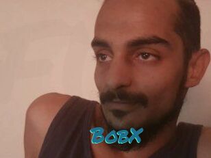 BobX