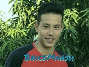 BriceMarsh