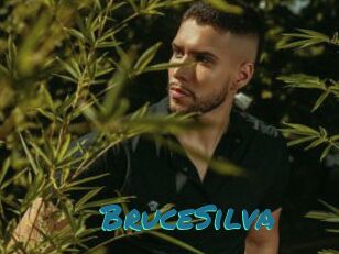 BruceSilva