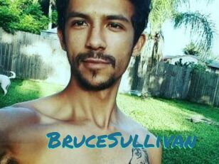 Bruce_Sullivan