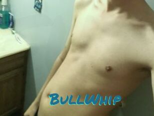 BullWhip