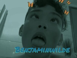 Benjaminwilde