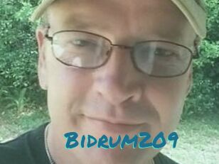 Bidrum209