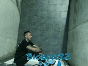 Bigboss22