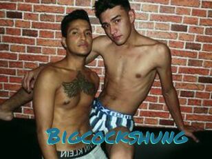 Bigcockshung