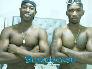 Bigcoocksu