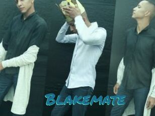 Blakemate