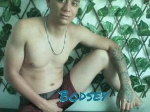 Bodsey