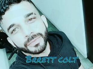Brrett_colt