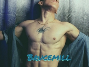 Brucemill