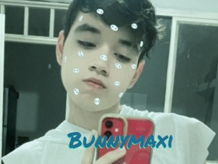 Bunnymaxi